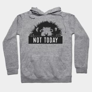 Cute Hedgehog Hoodie